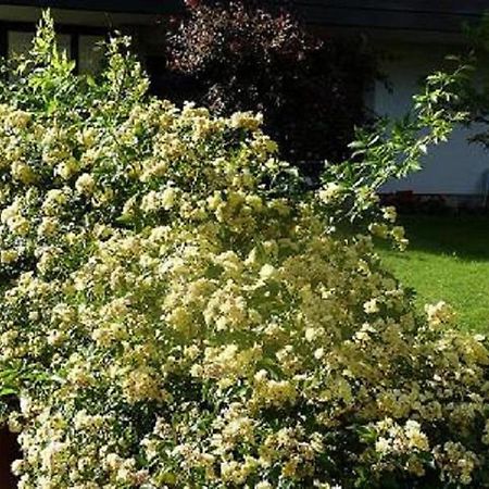 Haus Christl Bed and Breakfast Lana Esterno foto