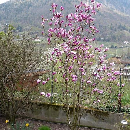 Haus Christl Bed and Breakfast Lana Esterno foto