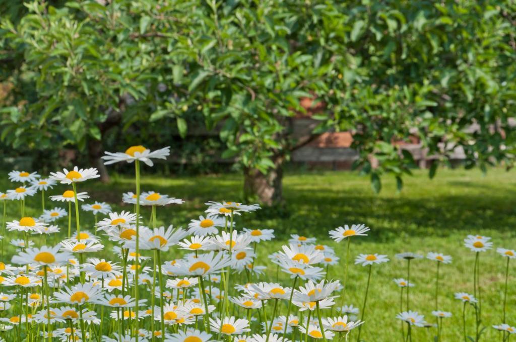 Haus Christl Bed and Breakfast Lana Esterno foto