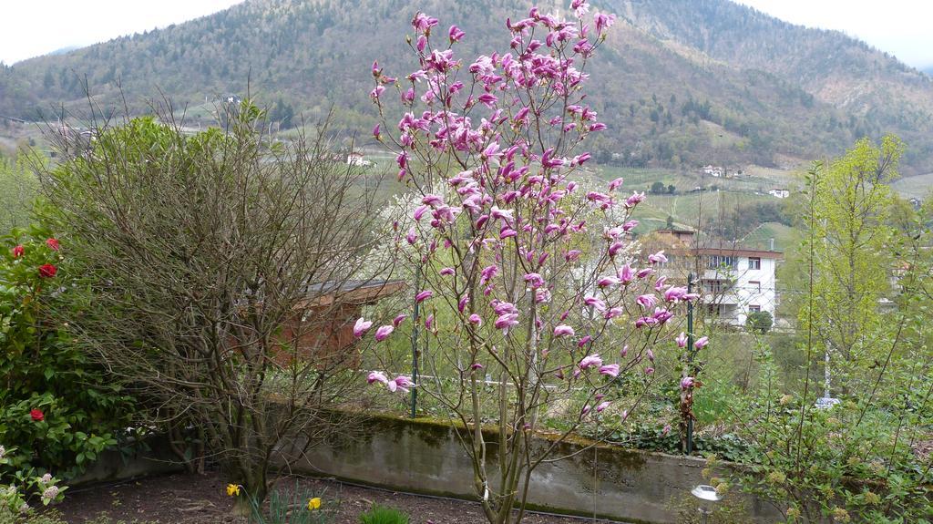 Haus Christl Bed and Breakfast Lana Esterno foto